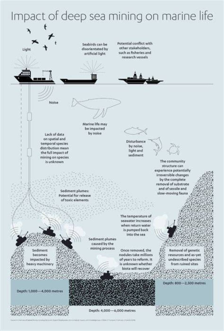 Uncovering The Ethics And Environmental Concerns Of Deep-Sea Mining