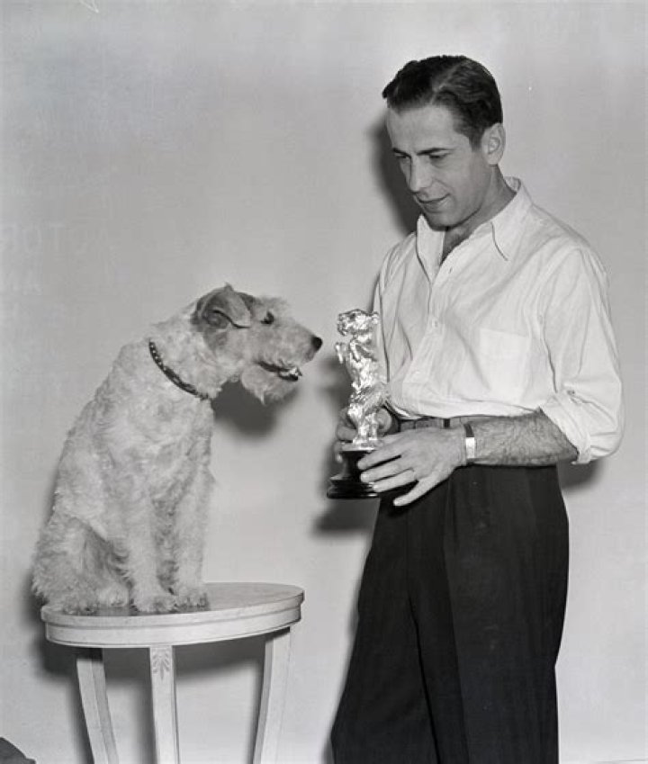 Uncovering The Life, Legacy, And Impact Of A Hollywood Icon