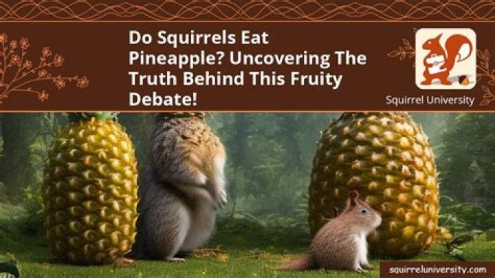 Uncovering The Truth Behind The Debate