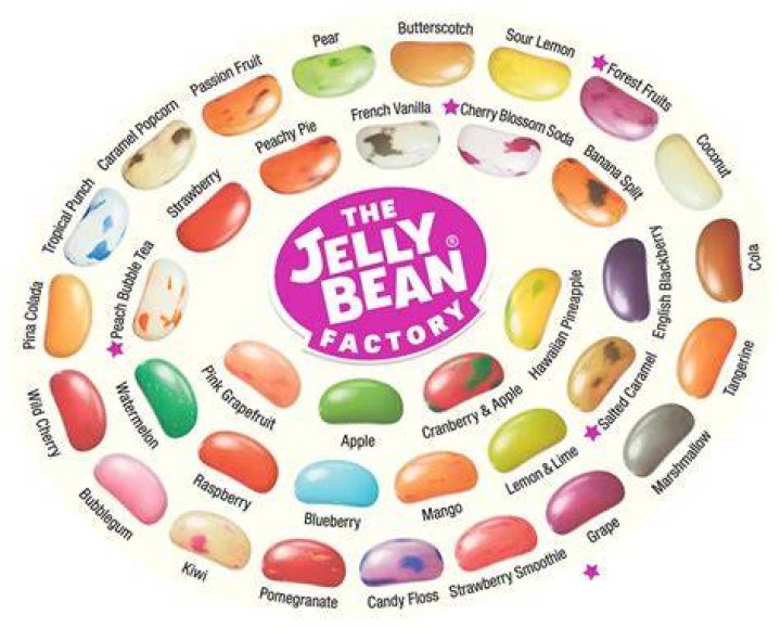 Unlock The Genius Of Jelly Beans Brains: Discoveries And Insights