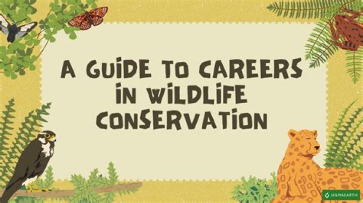 Unlock Your Fish And Wildlife Career: Discover ASF Jobs 2023