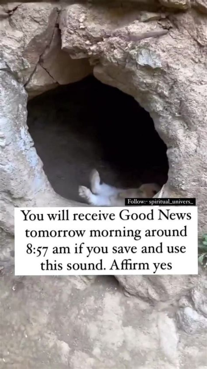 Unlock Your Potential With Dr. Sam's 7-Second Morning Revelation