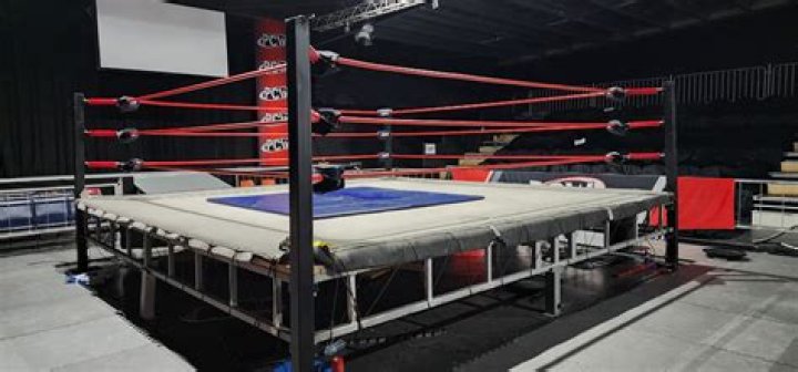 Unlocking The Secrets Of A Wrestling Dynasty