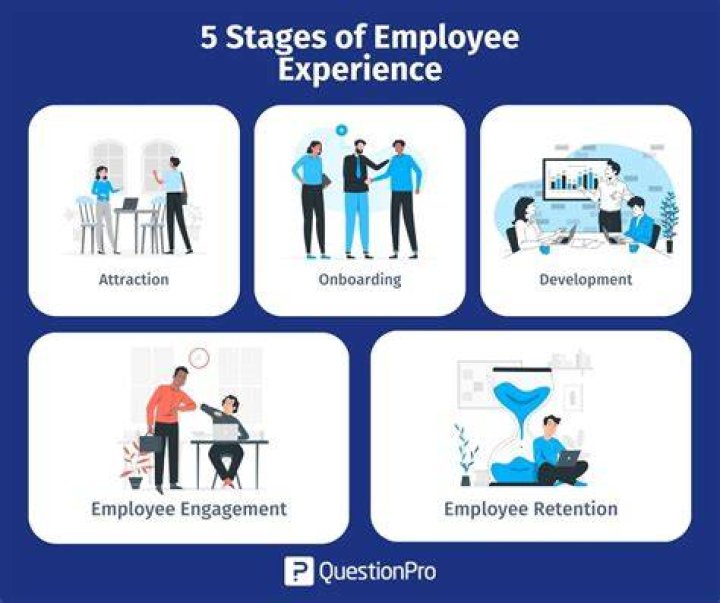 Unlocking The Secrets Of Employee Experience Success