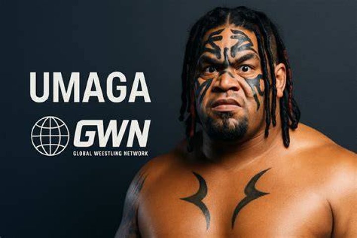 Unlocking The Wrestling Enigma On Wikipedia