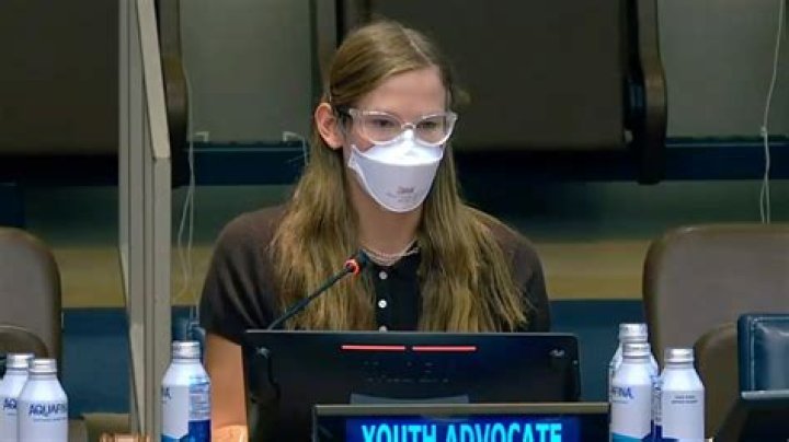 Unmasking The Enigma: Unveiling Violet Affleck's Mask