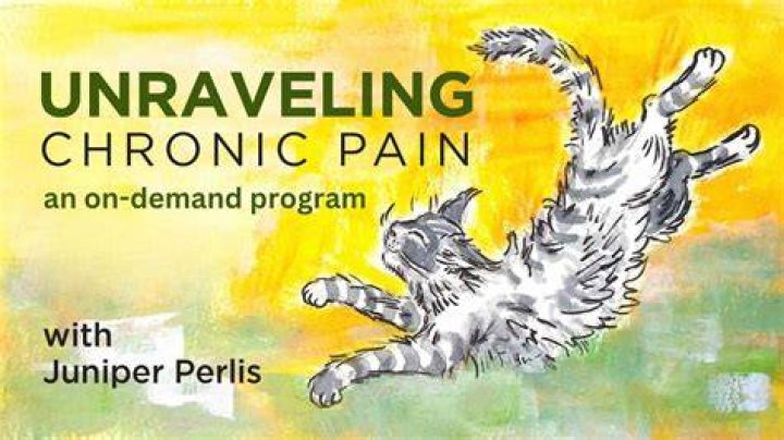 Unraveling Chronic Pain And Resilience