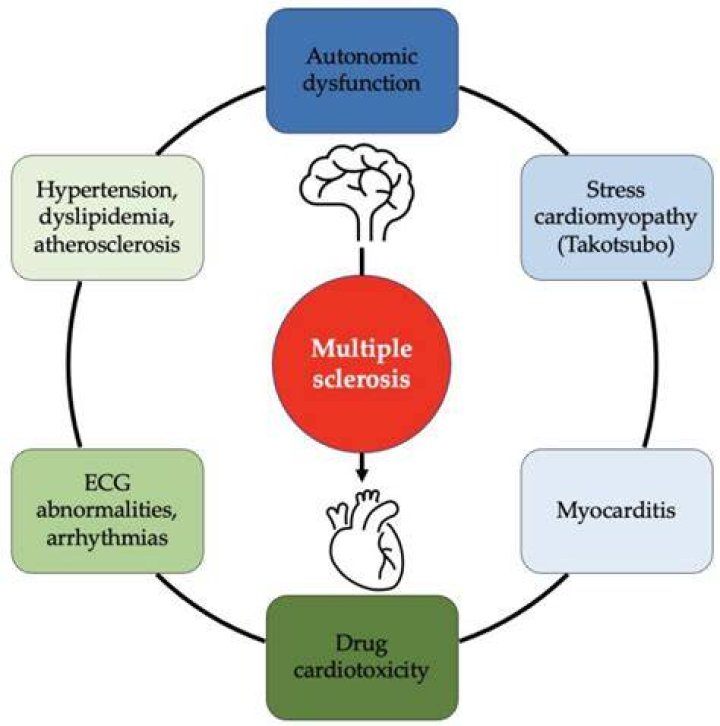 Unraveling The Enigma Of Multiple Sclerosis