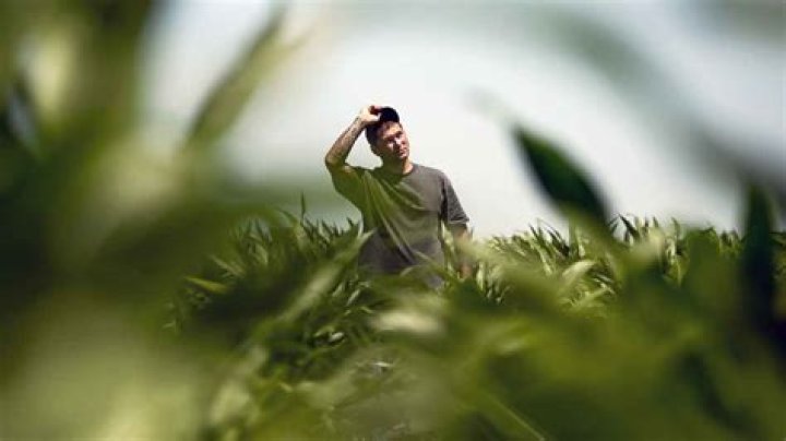 Unraveling The Secrets Behind His Financial Success