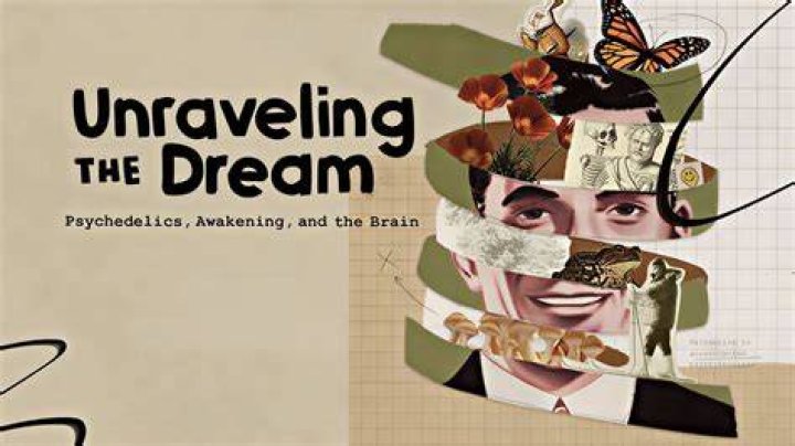 Unraveling The Truths And Business Dynamics