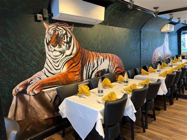 Unveil Culinary Treasures At Dallas's Finest Indian Dining Havens