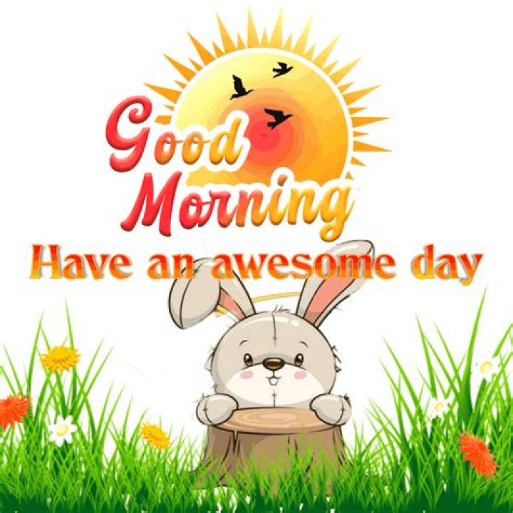 Unveil The Enchanting World Of Good Morning GIFs In 2024