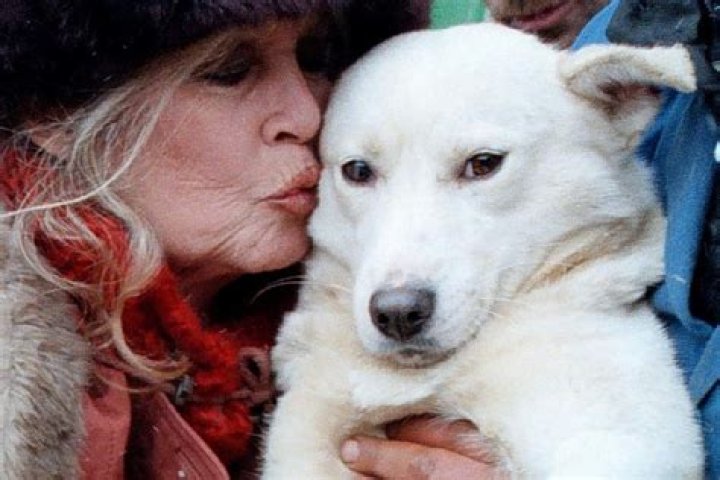 Unveil The Enigmatic Pam Bardot