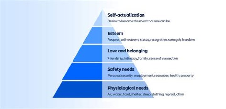 Unveil The Secrets And Strategies For Success