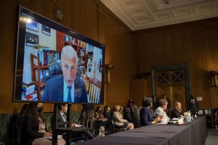 Unveiling Anthony Fauci's Height: Uncovering Surprising Insights