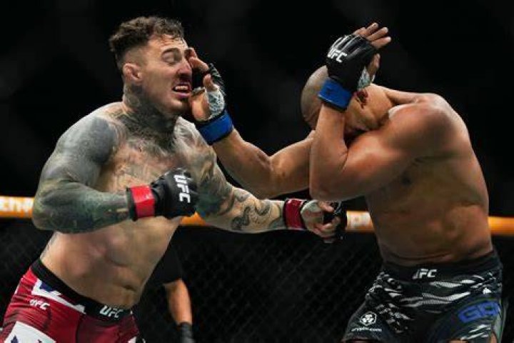 Unveiling Cyril Gane's Dominant Fighting Style: A Journey Of Discovery