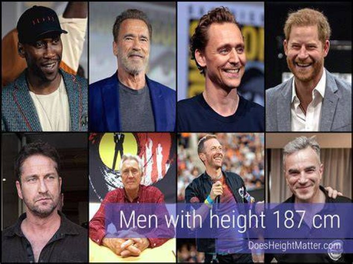Unveiling Russell Brand's Height: Discoveries And Insights