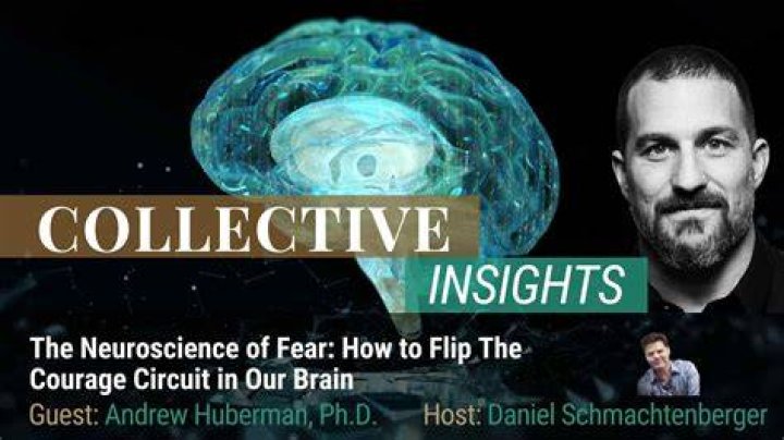 Unveiling The Brilliant Mind Behind Andrew Huberman's Neuroscience