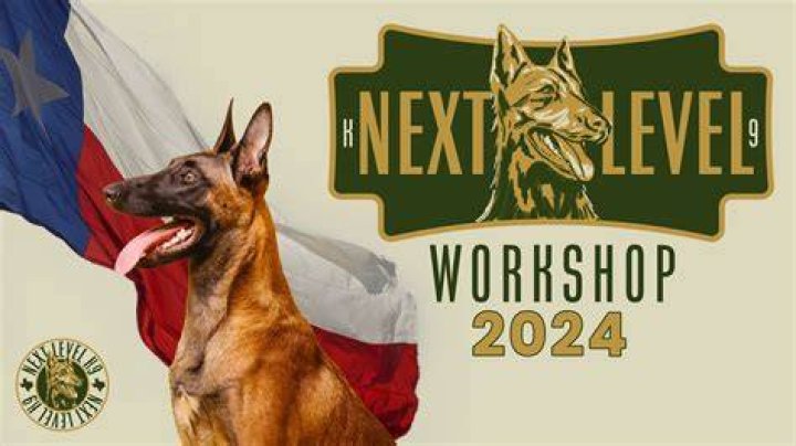 Unveiling The Canine Training Expertise Of Brandi Canterbury