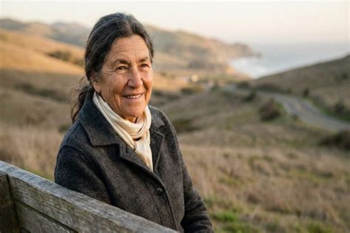 Unveiling The Creative Cosmos Of Susan Deixler: Discoveries And Insights