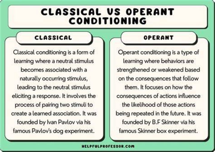 Unveiling The Differences And Clarifying Vision