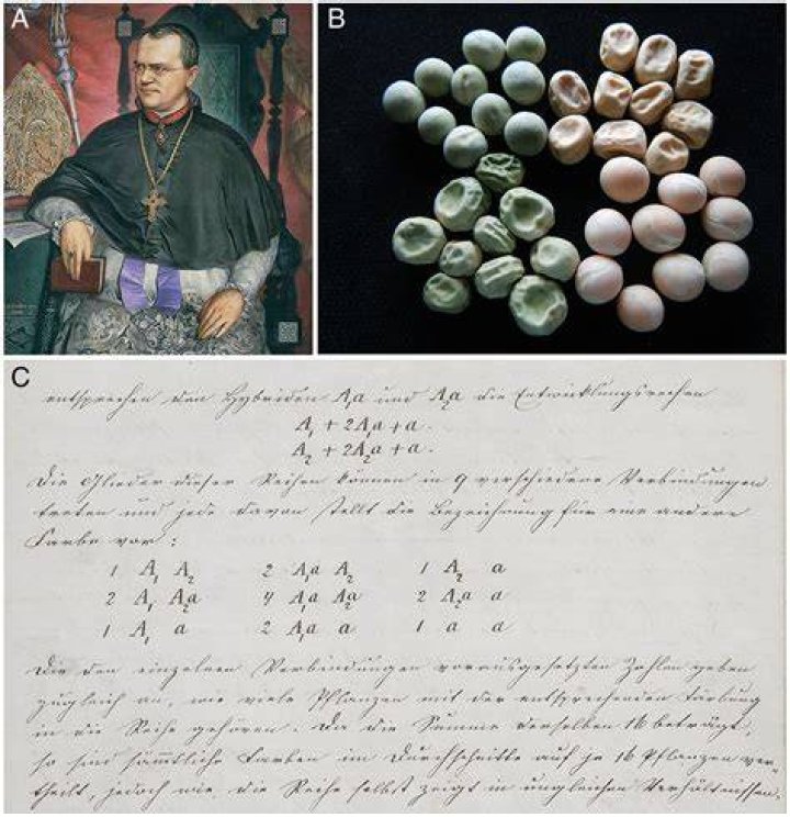 Unveiling The Enigmatic Wife Of Clayton James: Discoveries And Insights
