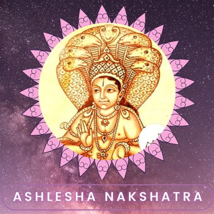 Unveiling The Enigmatic World Of Ashlesha Thakur: A Journey Of Discovery