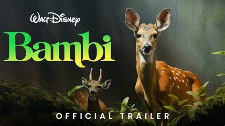 Unveiling The Enigmatic World Of Bambi Allen: Discoveries And Insights