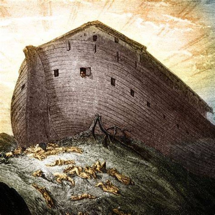 Unveiling The Height Of Noah Beck: Discoveries And Insights