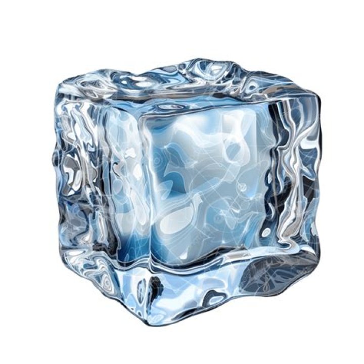 Unveiling The Ice Cube Family Legacy: Discoveries And Insights