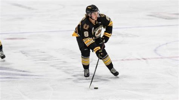 Unveiling The Life And Legacy Of Brady Grasdal