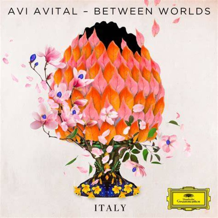 Unveiling The Multifaceted Mili Avital: Discoveries And Insights