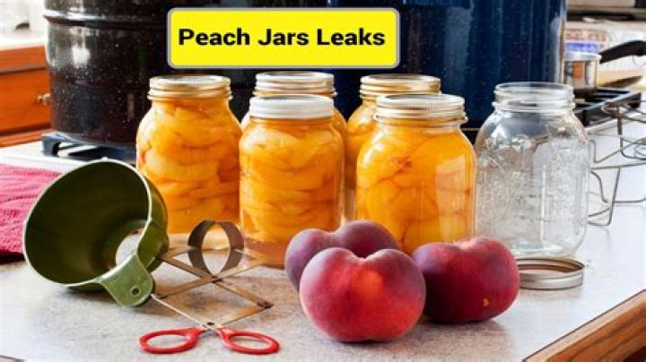Unveiling The Peachjar Leaks: Discoveries And Insights