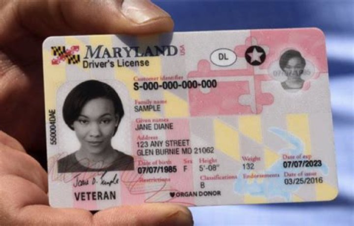 Unveiling The Real Identity Behind "Lil Moco": Discoveries And Insights
