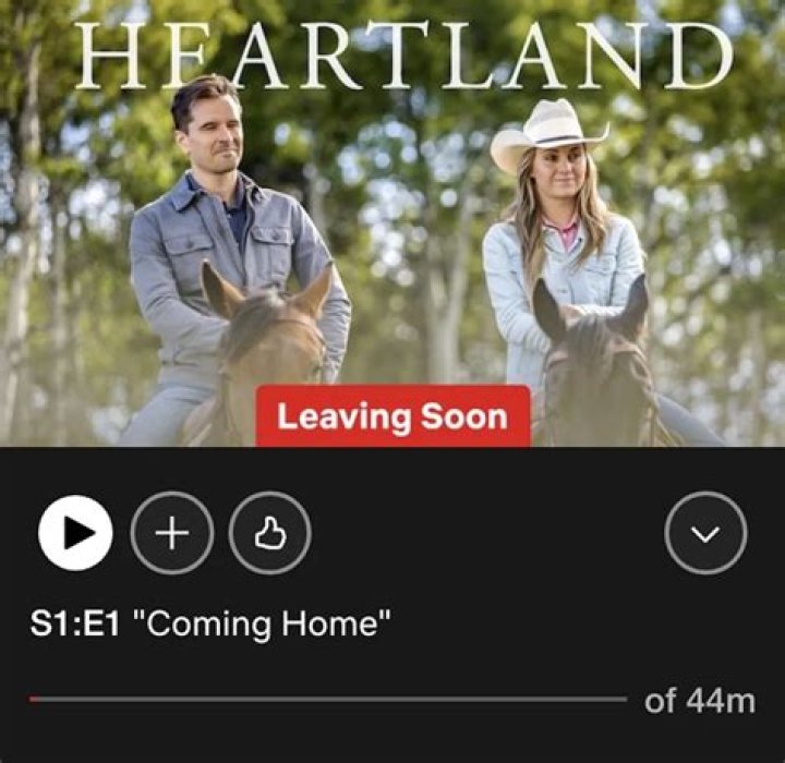 Unveiling The Reasons Behind Ty's Departure From Heartland