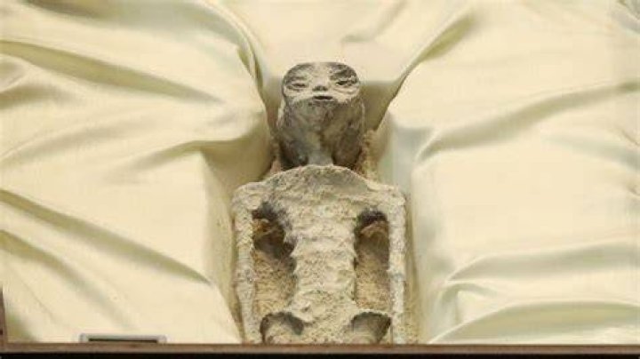 Unveiling The Secrets Of Baby Alien Videos: Discoveries And Insights