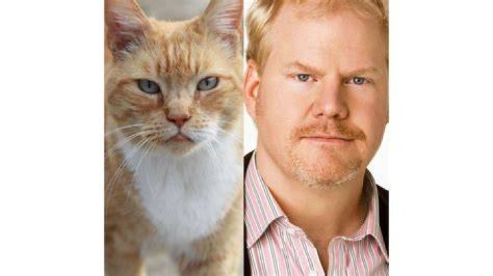 Unveiling The Secrets Of "Cats That Look Like Jim Gaffigan"