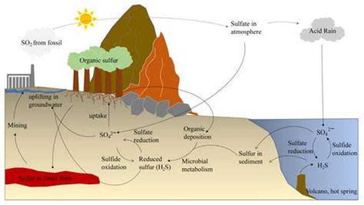 Unveiling The Secrets Of "It Reeks Of Sulfur": Discoveries And Insights