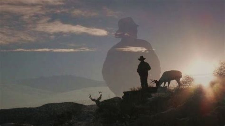 Unveiling The Secrets Of Joe Hutto: Wildlife's Unsung Hero