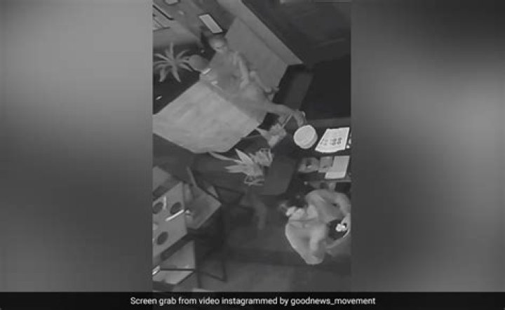Unveiling The Significance Of "Kid And Mom CCTV Video Explained"