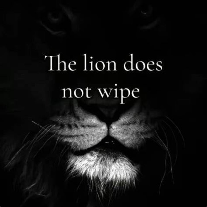Unveiling The Timeless Wisdom Of "Quotes About The Lion King"