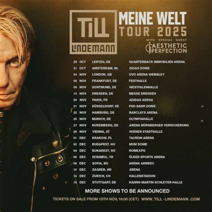Unveiling Till Lindemann's Relationships: Discoveries And Insights