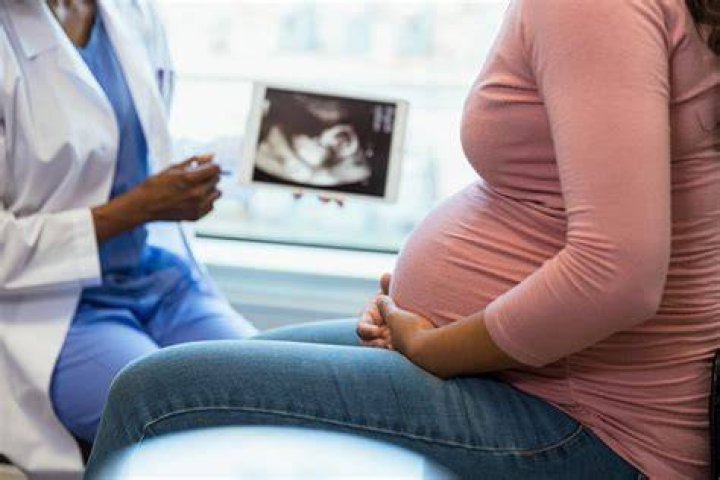 Vanessa Ray's Pregnancy And Career: Uncovering The Truth