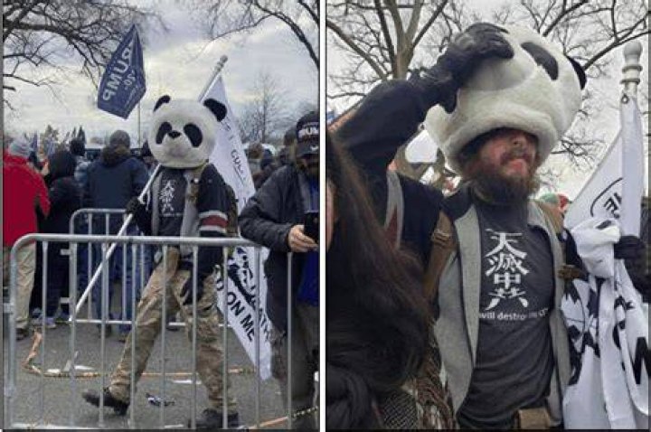 What did Jesse James Rumson do? ‘Sedition Panda’ arrested over January 6 Capitol riot