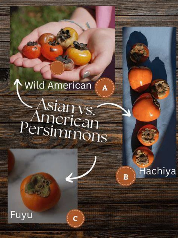 Where Japanese And American Flavors Dance