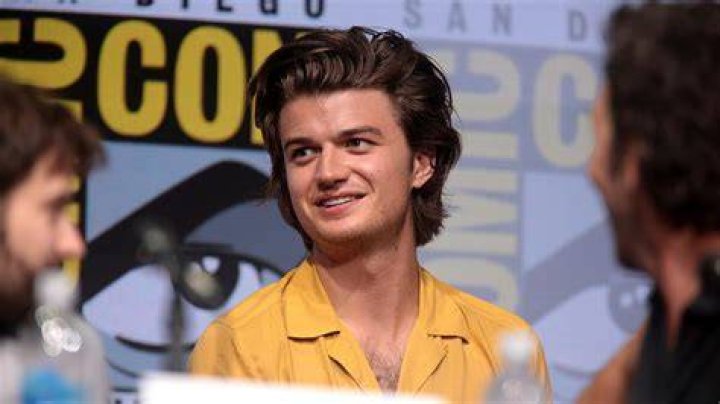 Who Is Joe Keery Sister? Details On Emma Keery