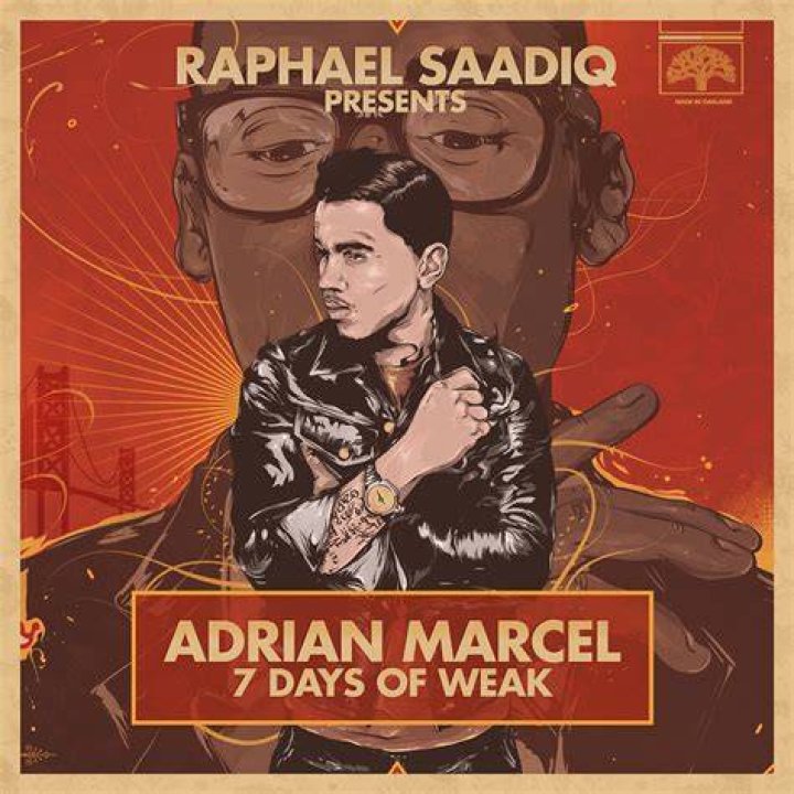 Who is Raphael Saadiq Dating Now