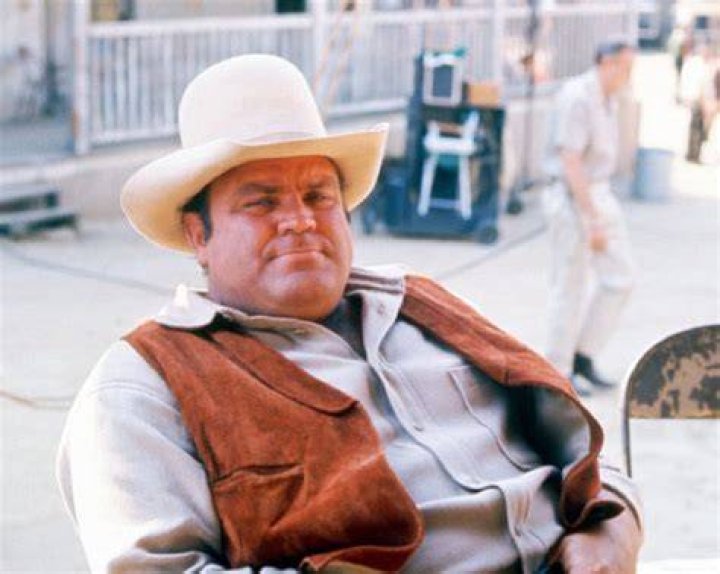 Who Was Dan Blocker and What Has Become of His Wife and 2 Sons Since His Death?