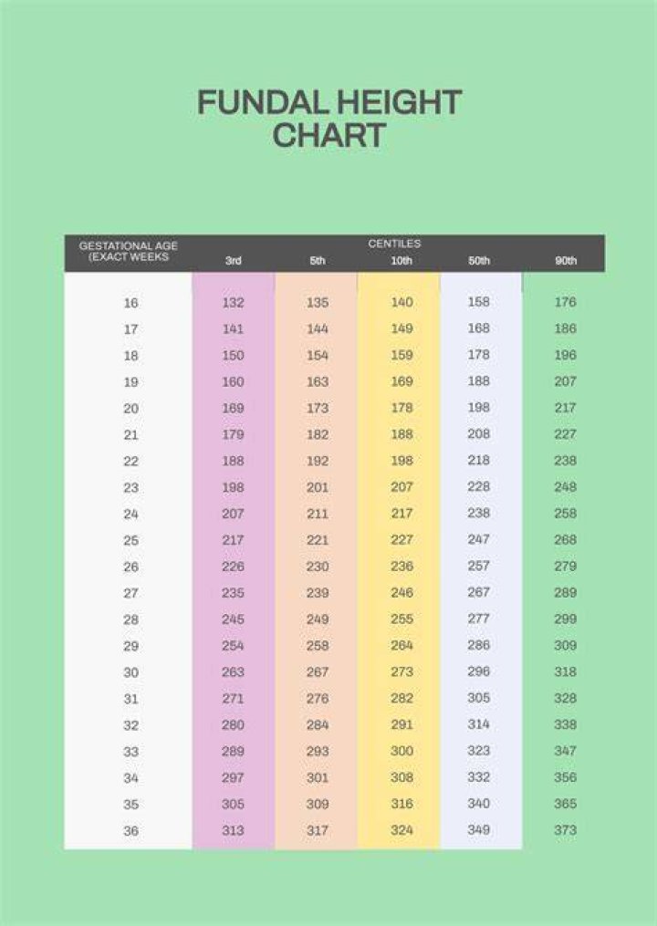 Wiki, Age, Height, And Beyond