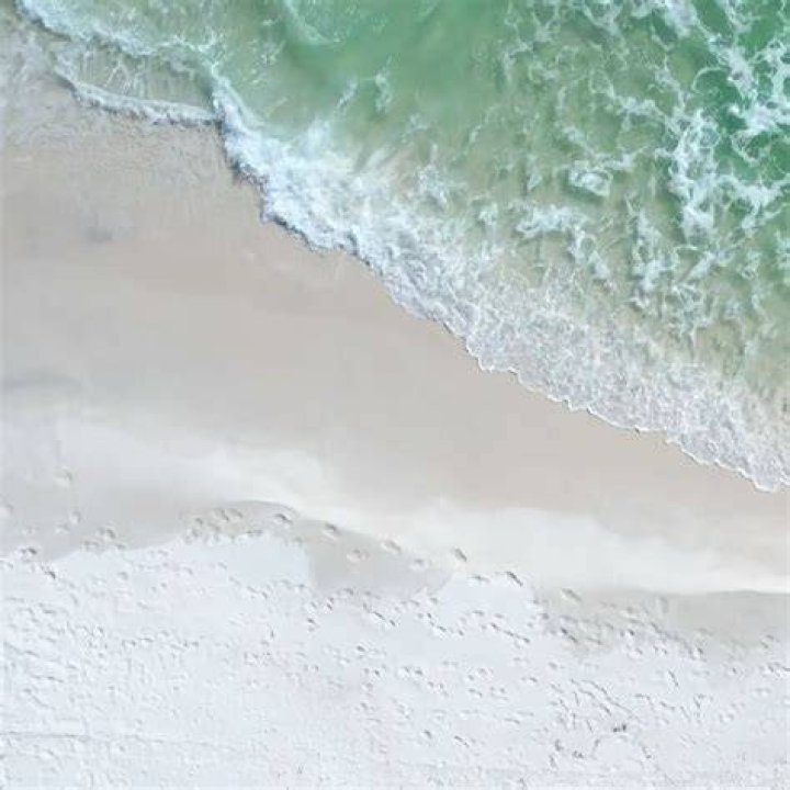 Your Ultimate Guide To Entertainment In Pensacola